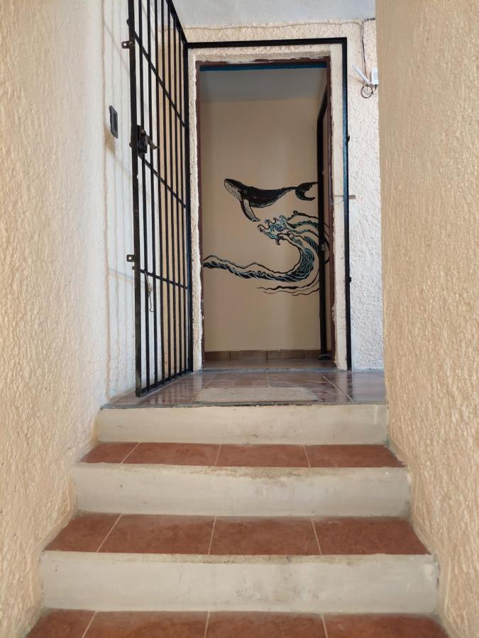 Venado 28 Cancún Exterior foto