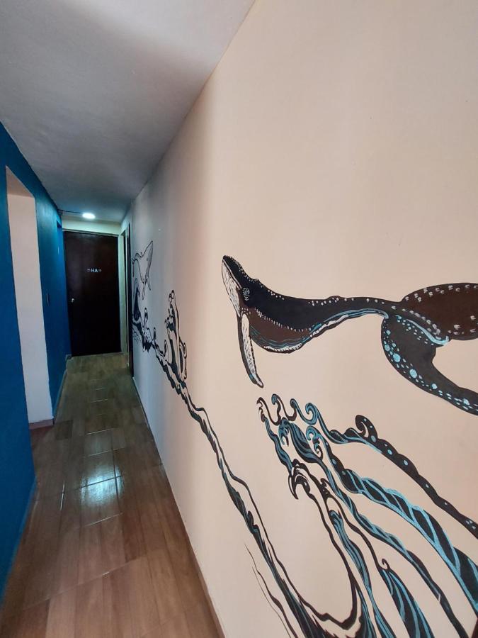 Venado 28 Cancún Exterior foto